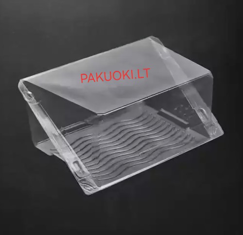 Plastikinė dėžutė 